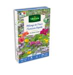 Mélanges de fleurs - Floraison Rapide - 25 m² - Mélange de fleurs - face recto